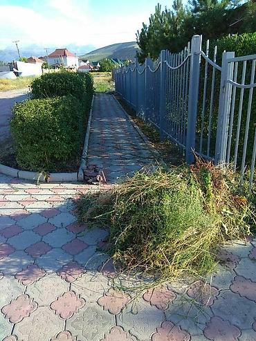 Клининговые услуги: Уборка территории — 7