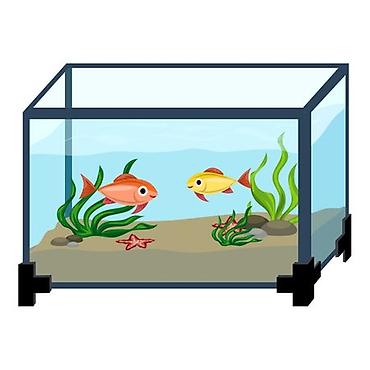ev heyvanı satışı: Akvarium isteyirem pulsuz kimde lazimsiz akvarium varsa mene versin — 1