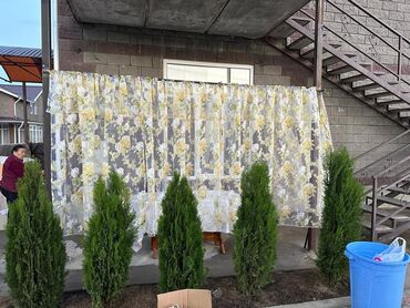 Продажа домов: Коттедж, 56 м², 3 комнаты, Собственник, Евроремонт — 11