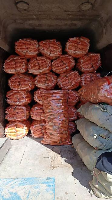 терка для моркови: Морковь Оптом, Платная доставка — 8