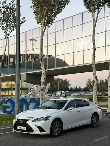 лобовое стекло матиз: Lexus ES: 2022 г., 2.5 л, Автомат, Гибрид, Седан — 1