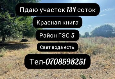 продаю арча бешик: 134 соток, Курулуш, Кызыл китеп, Сатып алуу-сатуу келишими