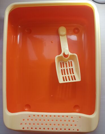 Pişiklər: Erkək, Dişi -da lalafo.az — 13 Pişiklər: Erkək, Dişi — 13