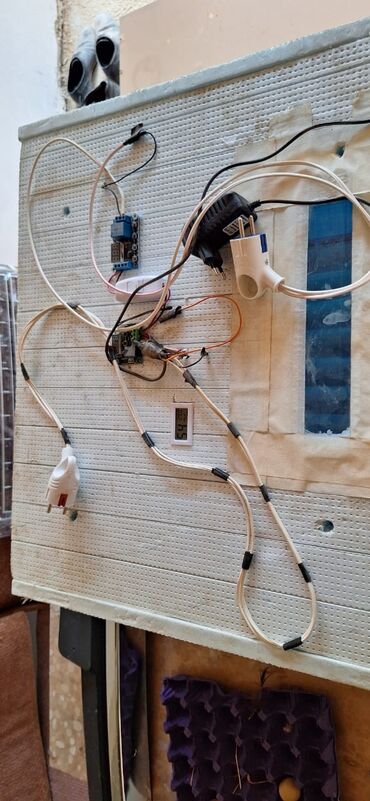inkubator termostat: Inkubator avtomat