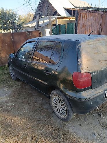 vw: Volkswagen Polo: 2000 г., 1.4 л, Автомат, Бензин, Хэтчбэк — 5