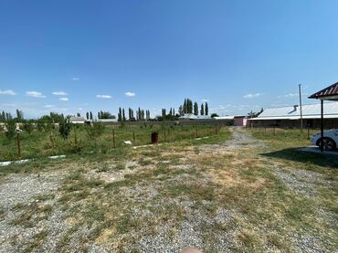 Torpaq sahələrinin satışı: Kənd təsərrüfatı, Mülkiyyətçi, Bələdiyyə, Kupça (Çıxarış) — 5