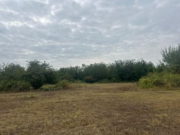 Torpaq sahələrinin satışı: 110 sot, Tikinti — 13