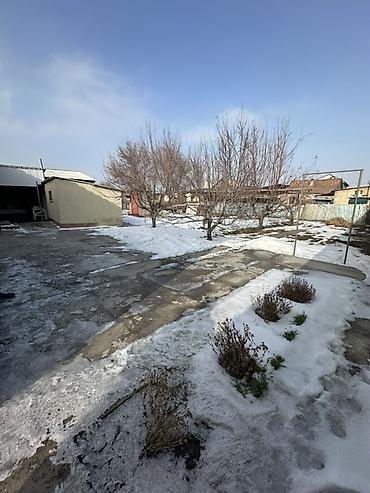 Ковры и паласы: Ковер — 11