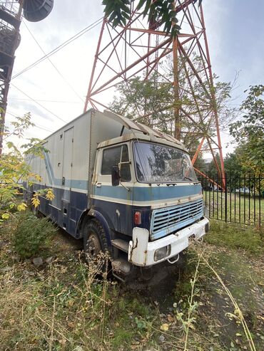 Легкий грузовой транспорт: Легкий грузовик, Камаз — 4