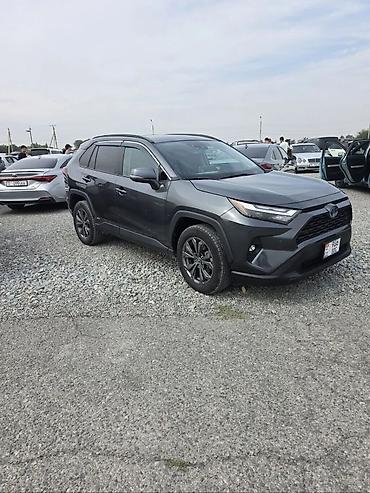 Toyota RAV4: 2022 г., 2.5 л, Автомат, Гибрид, Кроссовер