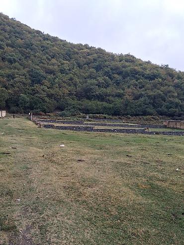 şirvan torpaq satışı: Qax rayonu Qaxbaş kəndində 10 sot torpaq sahəsi — 1