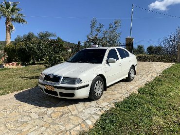 Skoda Ocatvia: 1.9 l | 2006 year | 653000 km. Sedan