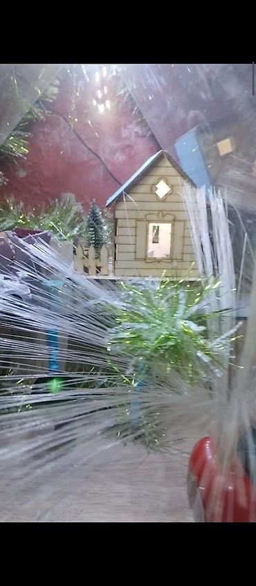 mini led: Məhsul: Dekorativ işıqlı akvarium/teraryum vitrin-kabinəsi Təsvir: - — 7