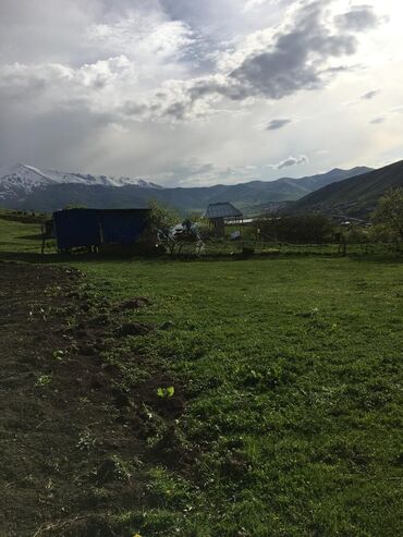 torpaq qəbələ: 9 sot, Kənd təsərrüfatı, Kupça (Çıxarış)