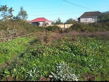 Həyət evləri və villaların satışı: 2 otaqlı, 25 kv. m, Orta təmir — 6