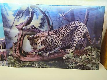 3D effektli divar posteri – Leopard mövzusu - Təsvir: Meşə fonunda
