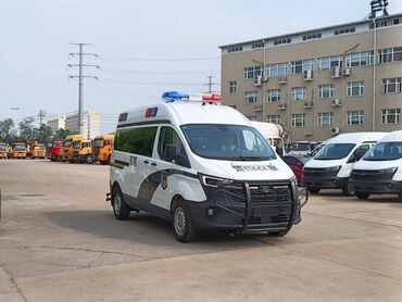 Грузовики: Автобус, Ford, 2024 г., 2 л, до 15 мест