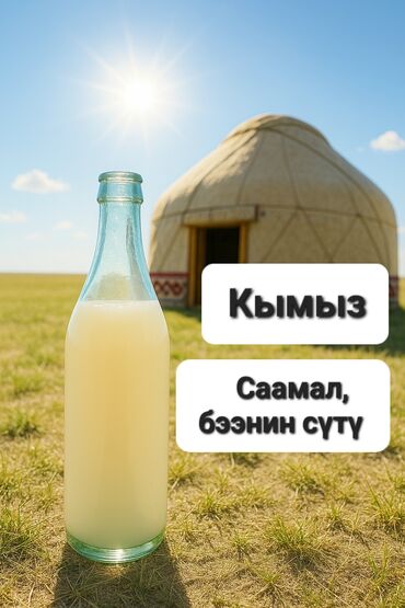 сокулук кой: Кочкордун Сарала-Саз жайлоосунун таза, накта бээнин сүтү жана саамал