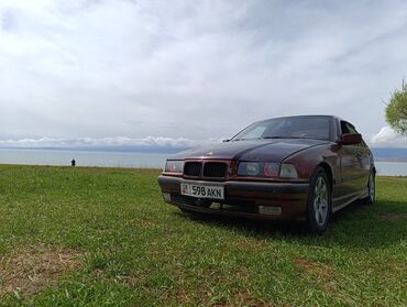 бмв х8: BMW 3 series: 1992 г., 1.6 л, Механика, Бензин, Седан