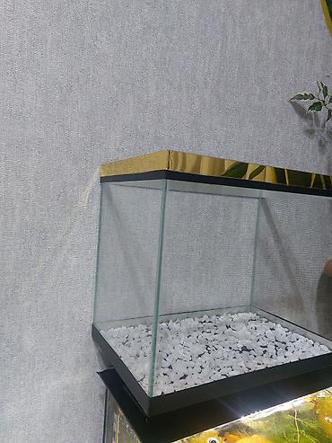 akvarium qızdırıcı: Qold Akvaryum çox gözəl görnüşə malikdi yenidi ölçü 35×22×29 bunan — 3
