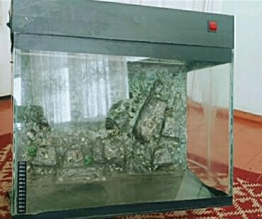 Fizika: Akvaryum komplekti - Şüşə akvarium, düzbucaqlı forma - Üst qapaqlı