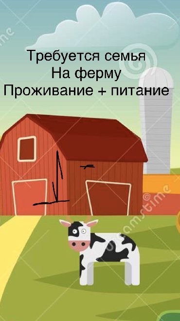 Работа в Кыргызстан: Семья на ферму с проживанием и питанием