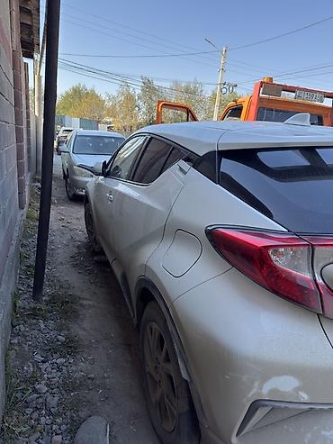 byd e2 отзывы: Toyota C‑HR, белый перламутр. Кузов хэтчбек/crossover. Особенности и — 5