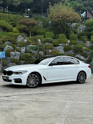 BMW: BMW 5 series: 2019 г., 2 л, Автомат, Бензин, Седан — 4