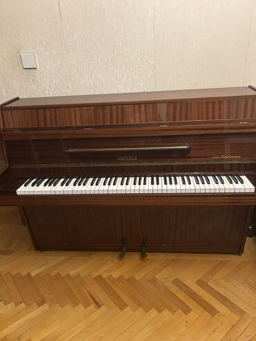серебряные струны для гитары: Hupfeld Piano Almaniya model Carmen