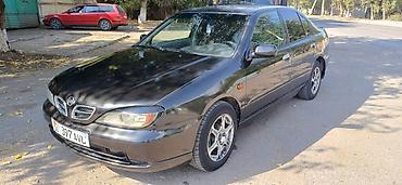 skyline r32: Nissan Primera: 2001 г., 1.8 л, Механика, Бензин, Седан — 1