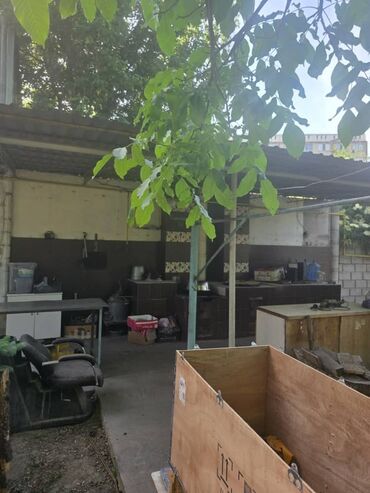 Помещения свободного назначения: Сдается на долгий срок частный дом с потенциалом для различных видов — 8