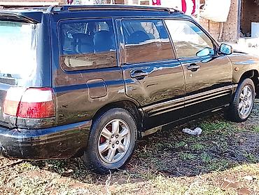 Subaru: Subaru Forester: 2000 г., Автомат, Бензин, Универсал — 2