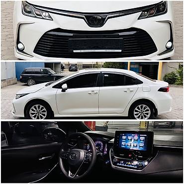 Toyota: Toyota Corolla: 2020 г., 1.8 л, Автомат, Гибрид, Седан — 1