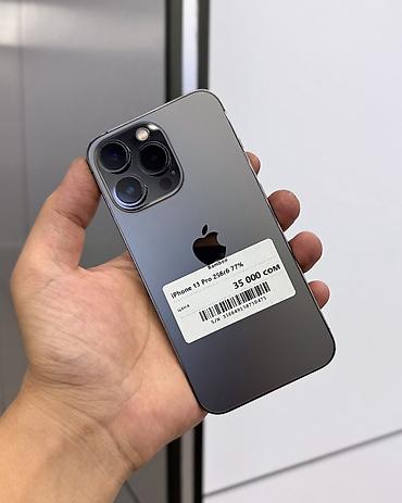 IPhone 13 Pro, Б/у, 256 ГБ, Графит, Защитное стекло, Чехол, В рассрочку, 77 %