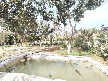 Həyət evləri və villaların satışı: 2 otaqlı, 80 kv. m, Yeni təmirli — 15