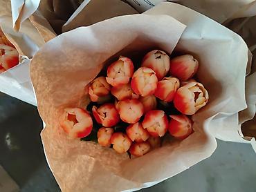 Букеты из живых цветов: Тюльпаны в крафтовой упаковке — срезанные бутоны на крепких стеблях — 6