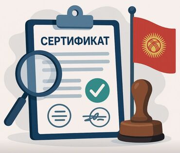 Другие услуги: СГР, сертификация и декларация соответствия — всё для вывода продукции
