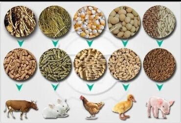 Yem üyüdən aparatlar: Patron yemi hazırlayan maşınlar satılır. ( Гранулятор ). Maşınların — 7