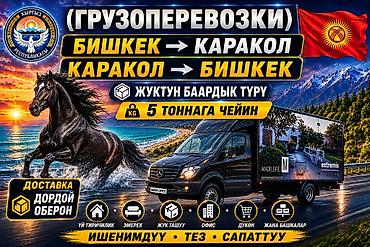sprinter 315: Грузоперевозки по направлению Бишкек ⇄ Каракол - Перевозка всех типов — 1