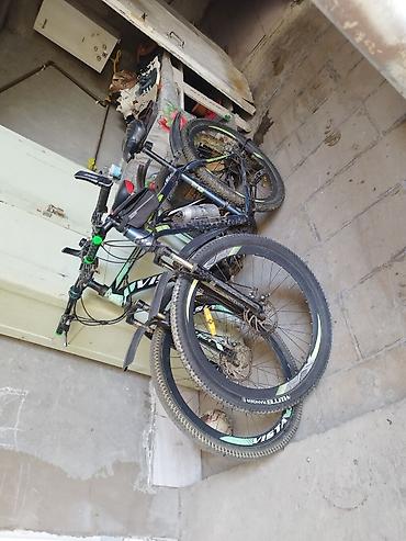 velosiped 29 ucuz: Salam qiyməti 140 m. çatdırma yoxdu barter yoxdu aşağı yeri yoxdu, boş — 1