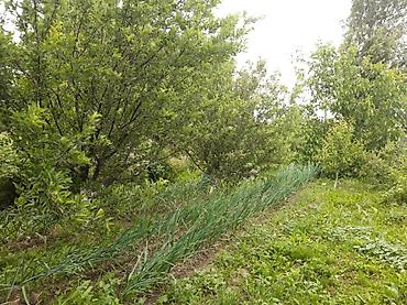 Продажа домов: Дом, 160 м², 6 комнат, Собственник, Косметический ремонт — 21