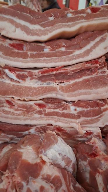 Свиньи: Продаю | Свинья (самка) | На забой — 1