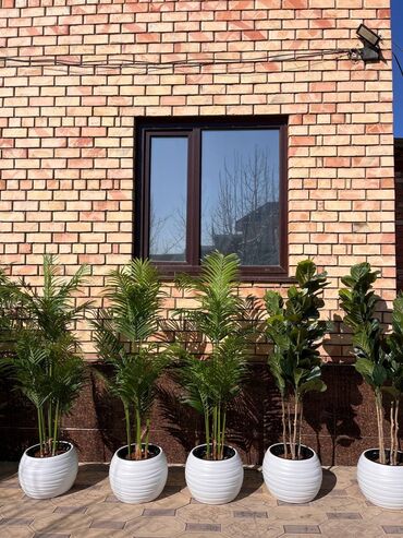 Декоративные цветы: Искусственные деревья и цветы — долговечный и стильный декор без — 16