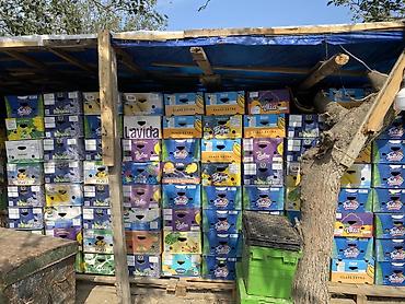 Banan Karopkası teze açığ 0.70 köhne açığ 0.50 teze kutu 1 manat lalafo.az -da — 2 Banan Karopkası teze açığ 0.70 köhne açığ 0.50 teze kutu 1 manat — 2