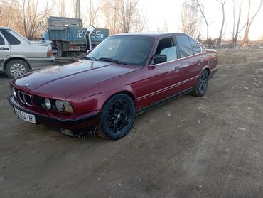 BMW: BMW 525: 1992 г., 2.5 л, Механика, Бензин, Седан