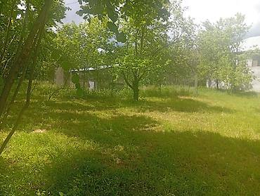 zabratda torpag: Tikinti, Mülkiyyətçi, Kupça (Çıxarış) — 3
