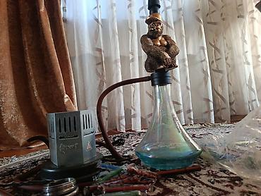 qizil ad klonlari: Nərgilə dəsti – orijinal “qorilla” fiqurlu şaqul borulu model — 2