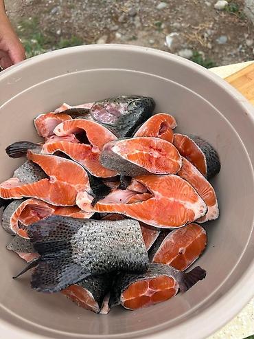 рыбное: Форель радужная, разделанная на стейки + икра в ястиках. Форель — 1