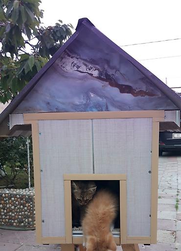 cucə yuvası: Məhsul: Açıq havada istifadə üçün pişik evi Təsvir: Qapalı pişik evi — 3