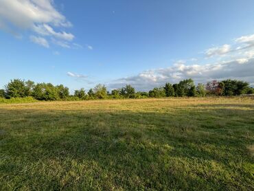 Torpaq sahələrinin satışı: 80 sot, Kənd təsərrüfatı, Mülkiyyətçi, Kupça (Çıxarış), Müqavilə — 10